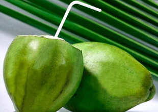 Tender Coconut